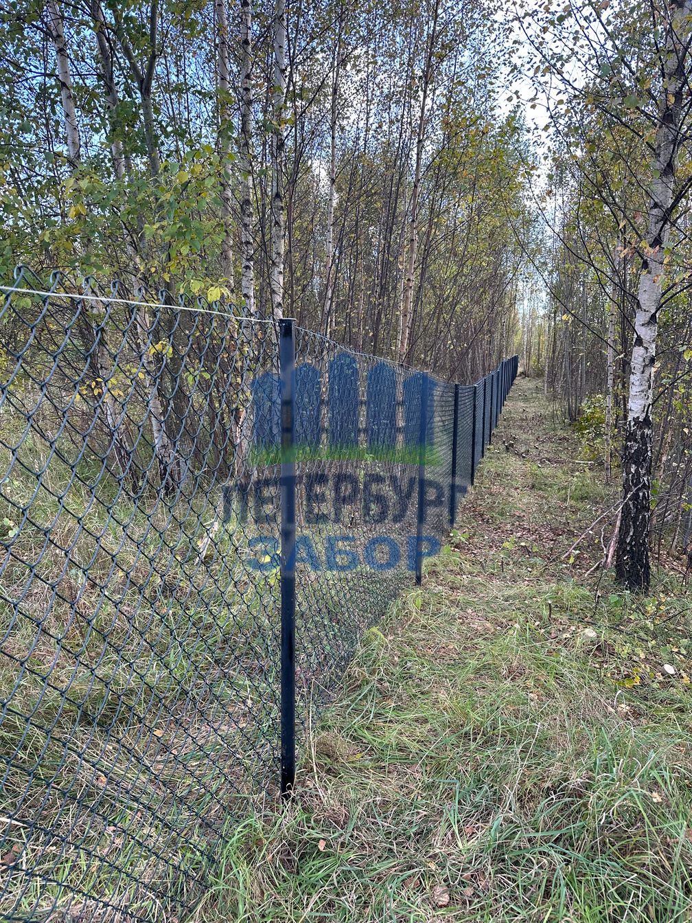 Забор из сетки Рабица в Токсово