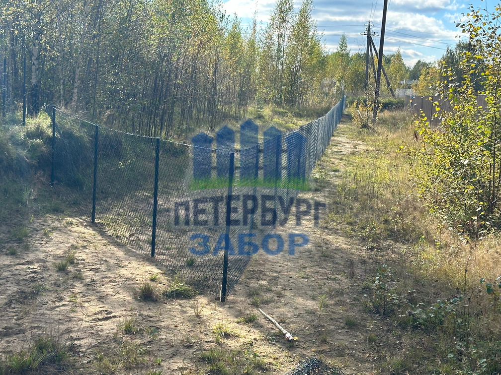 Забор из сетки Рабица в Токсово
