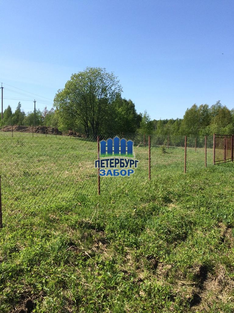 Забор из сетки рабицы в Иваново