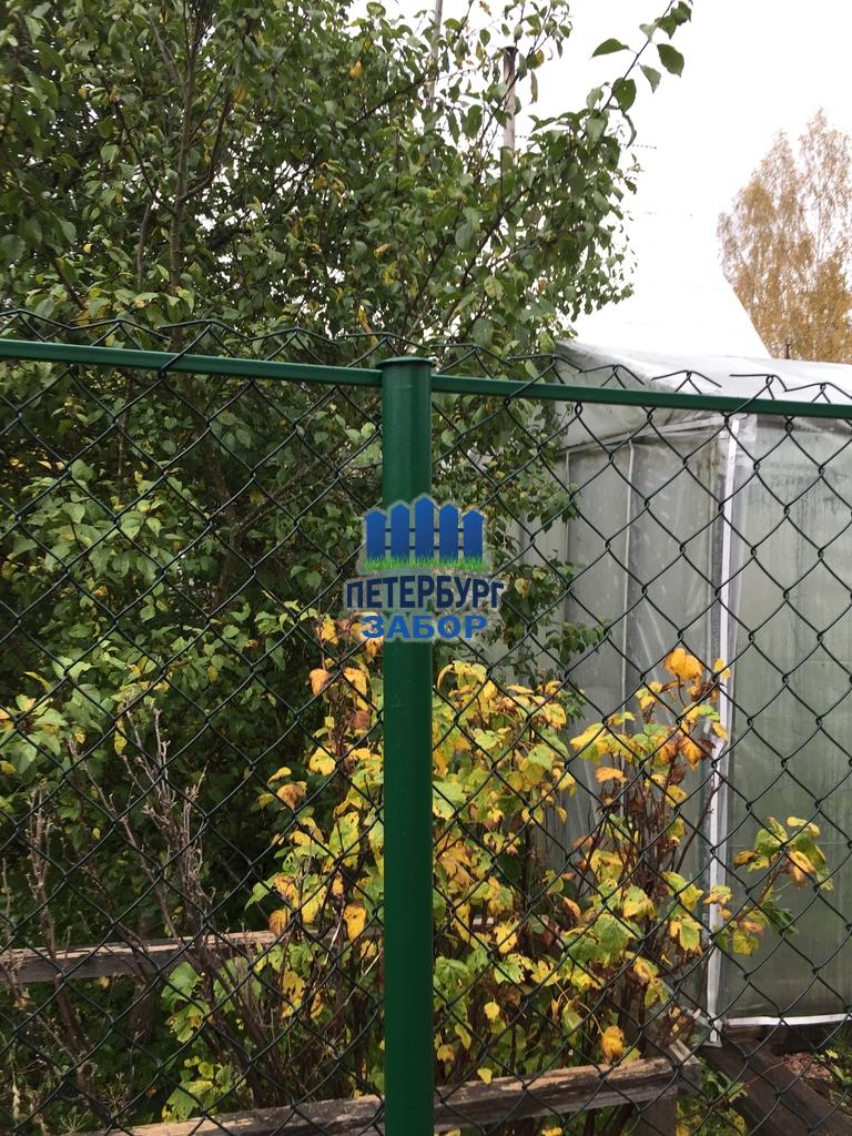 Забор из сетки рабица в посёлке Синявино