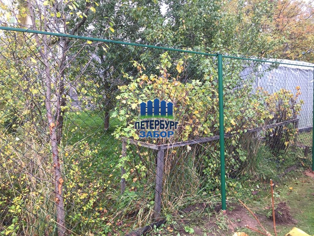 Забор из сетки рабица в посёлке Синявино